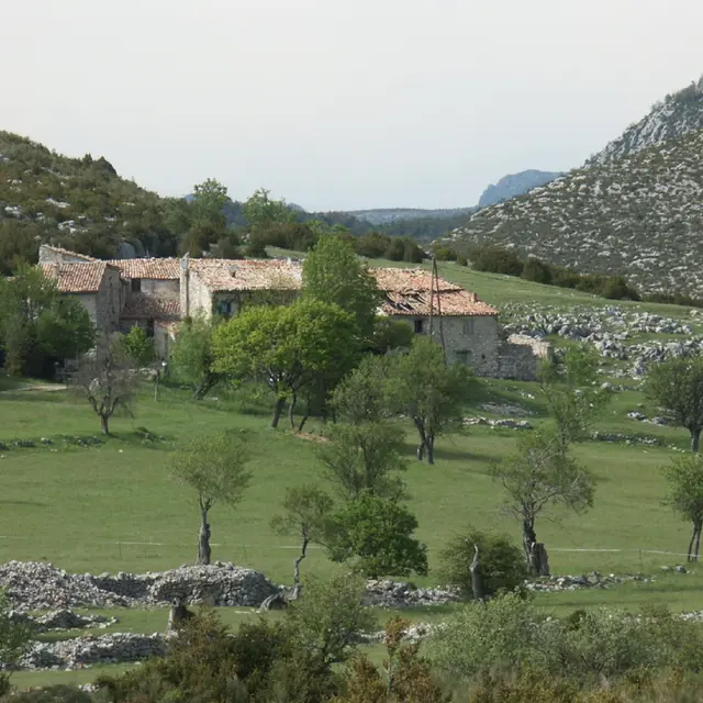 Commanderie de St Maymes