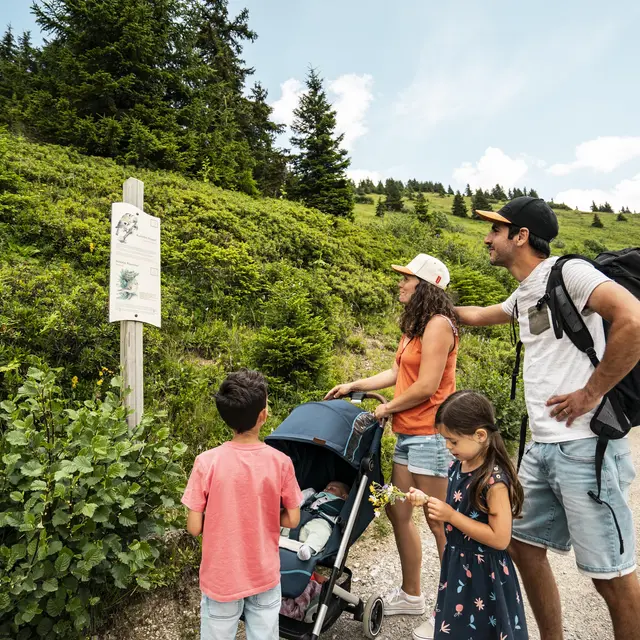 Sentier des oiseaux