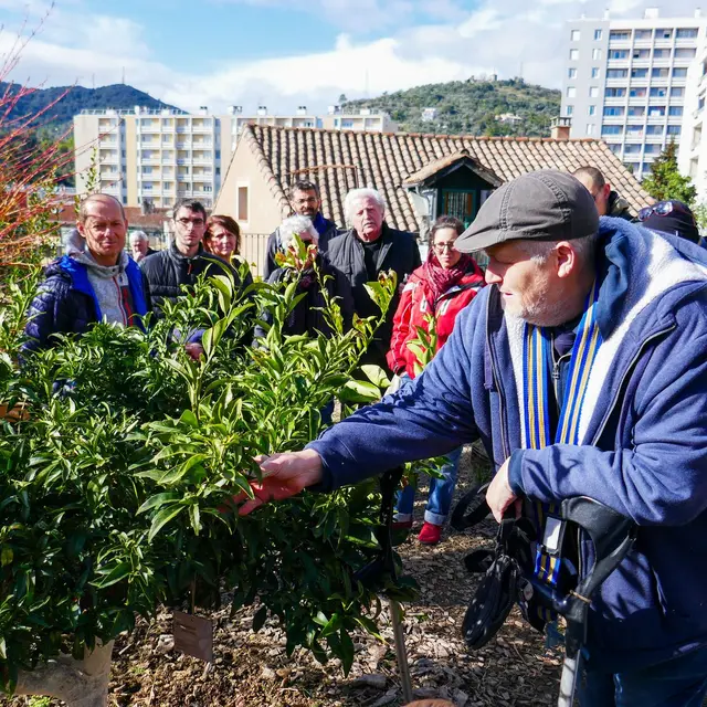 Créer son verger vivrier