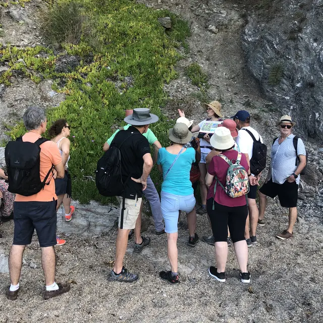 Balade et atelier peinture au Pradet - Faune et flore d'ici... et d'ailleurs_Le Pradet