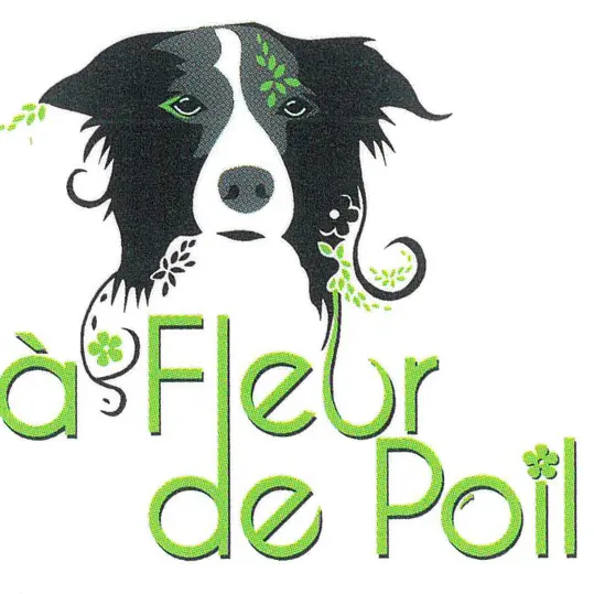 A Fleur de Poil 1