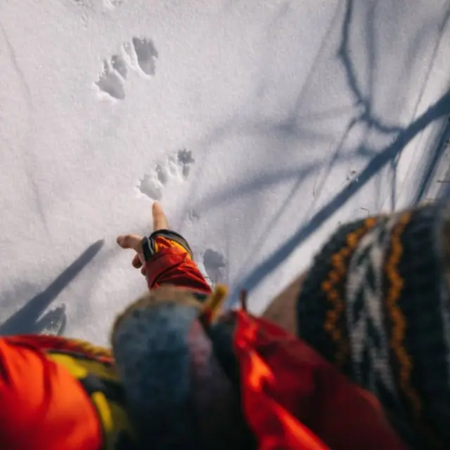 Randonnée découverte traces et indices des animaux_Auzet