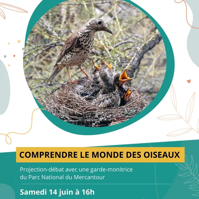 À la découverte du monde des oiseaux_Saint-Martin-Vésubie