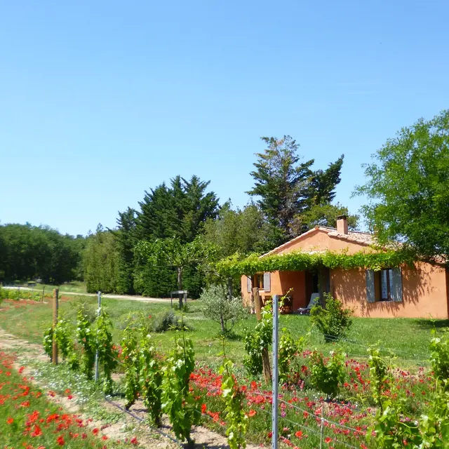 Location Le Cabanon - Domaine des Finets