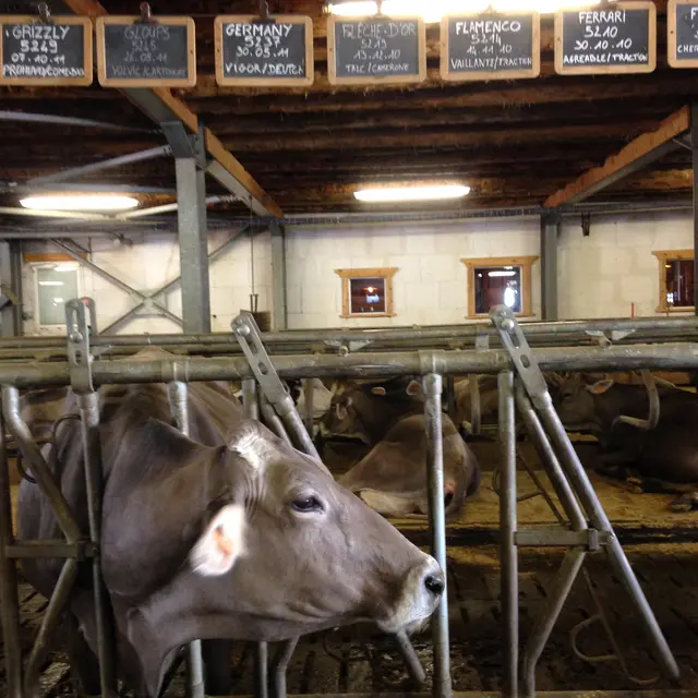 ferme de l'adroit, val