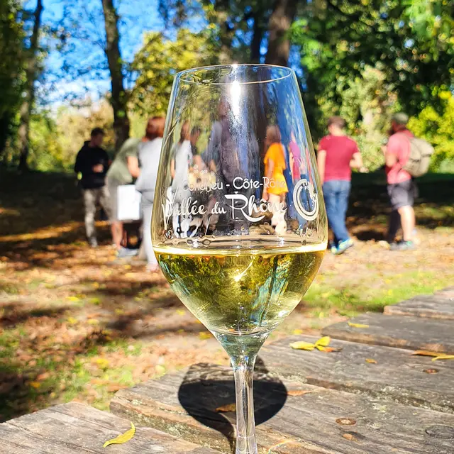 Apéro Vignes au Domaine Anthony Paret_Saint-Pierre-de-Boeuf