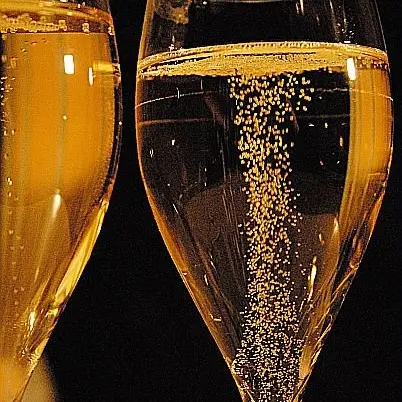 Atelier École des Vins - L'Art de la bulle en Vallée du Rhône_Avignon