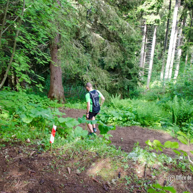 Parcours trail le Gâteau