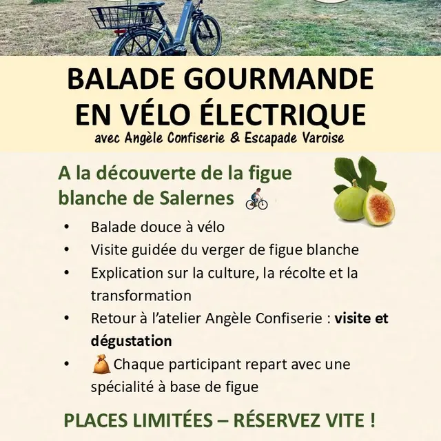 Balade gourmande en vélo électrique_Salernes