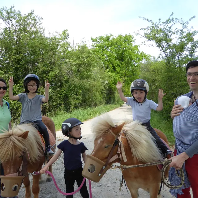 Balades en main à poneys