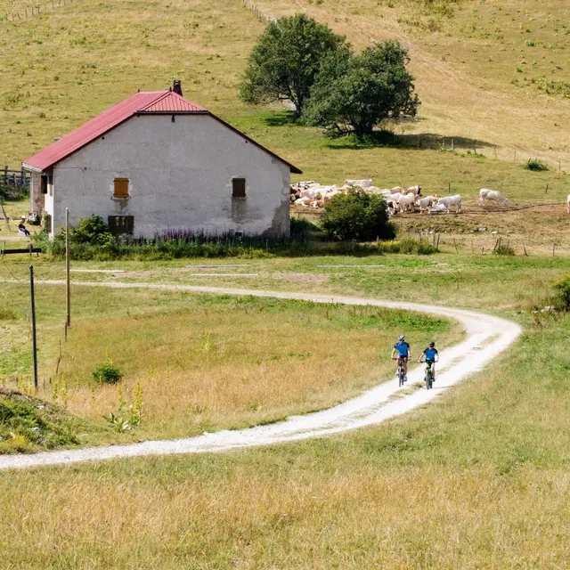 Parcours VTT 15 noir - Le grand tour du plateau de Retord - Espace FFC Ain Forestière_Haut Valromey