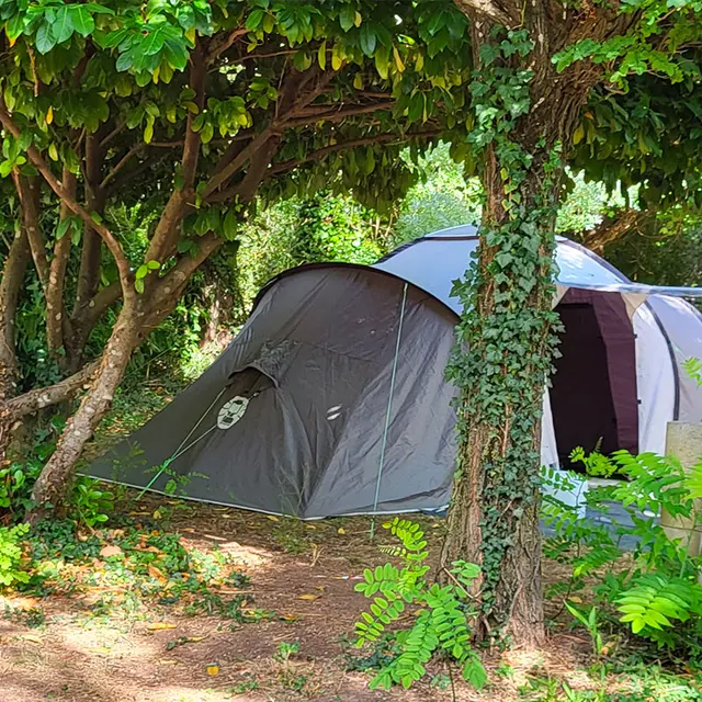 Camping aux Tonneaux_Méounes-lès-Montrieux