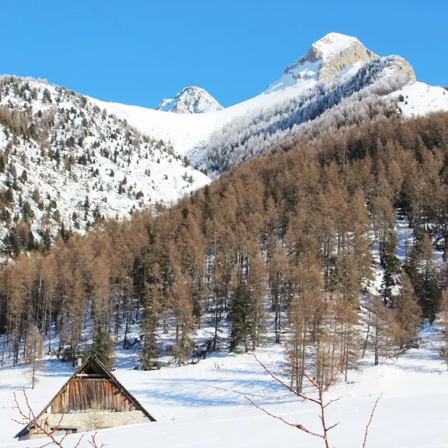 Raquettes Moissière