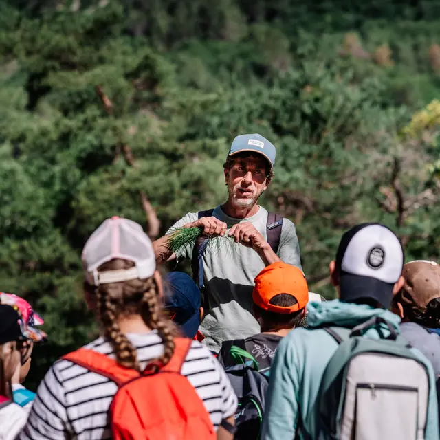 Nicolas Prin_Coursegoules