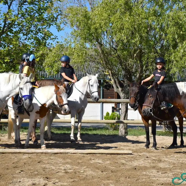 Chasse aux œufs au Slem