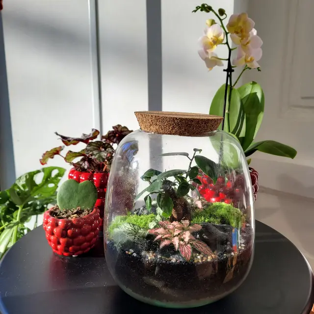 Terrarium Eden