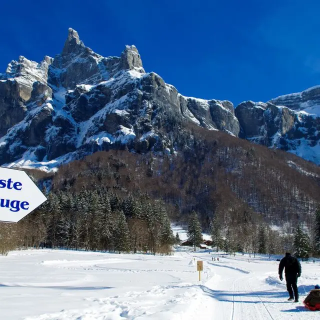 luge au cirque