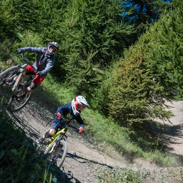 Parcours DH Family Ride Risoul
