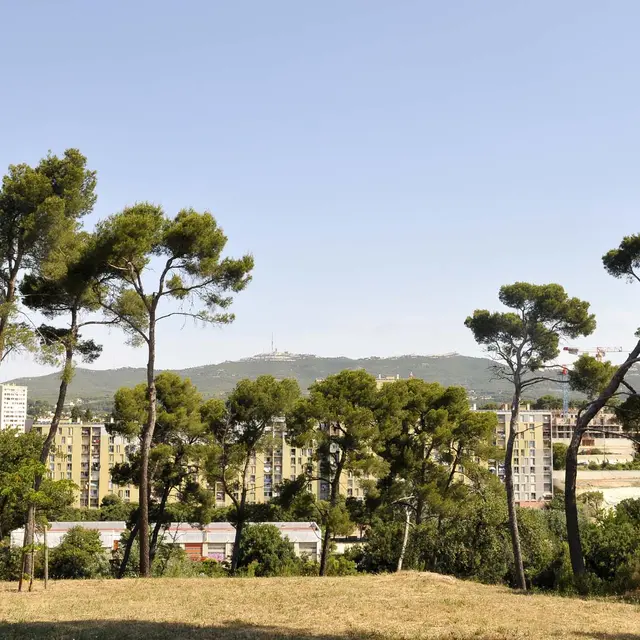 Parc Saint-Théodore - Ville de Marseille