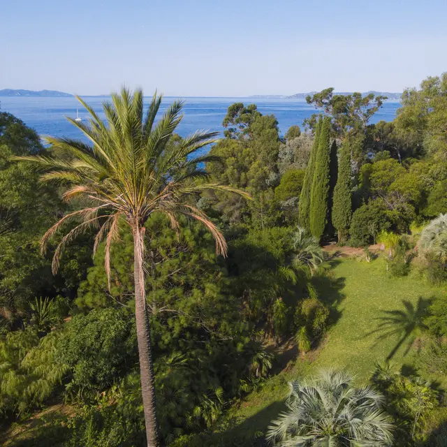 Domaine du Rayol, Jardin d'Amérique subtropicale