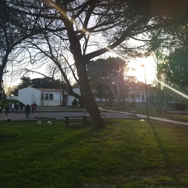 Terrains de pétanque du Bois-Plage-en-Ré