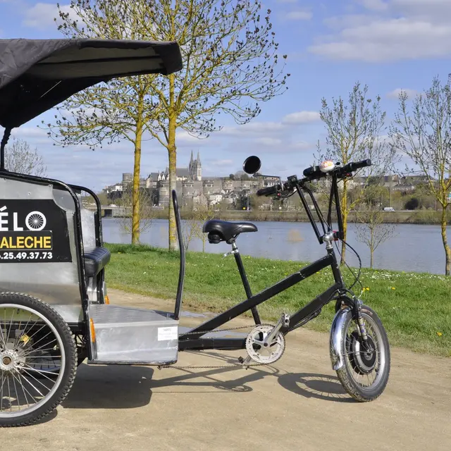 Balade en Vélo Calèche