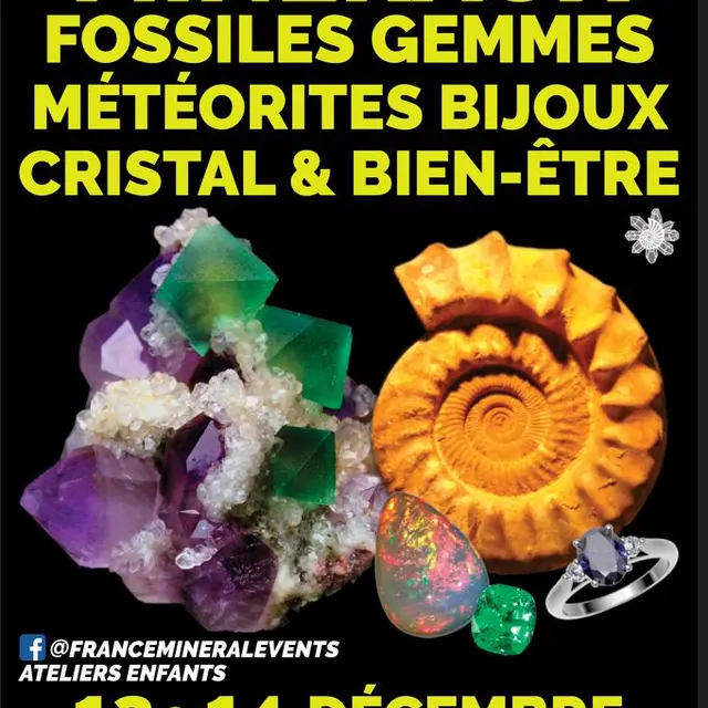 Salon des Fossiles et des Minéraux_Marseille