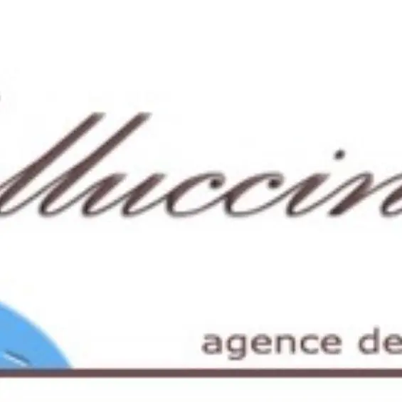 logo collucini