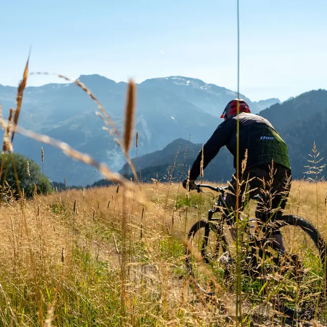 Itinéraire VTT de descente - Le Grand Crêt_Samoëns
