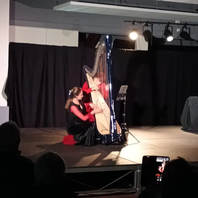 Cuerpo y Arpa, spectacle harpe et flamenco