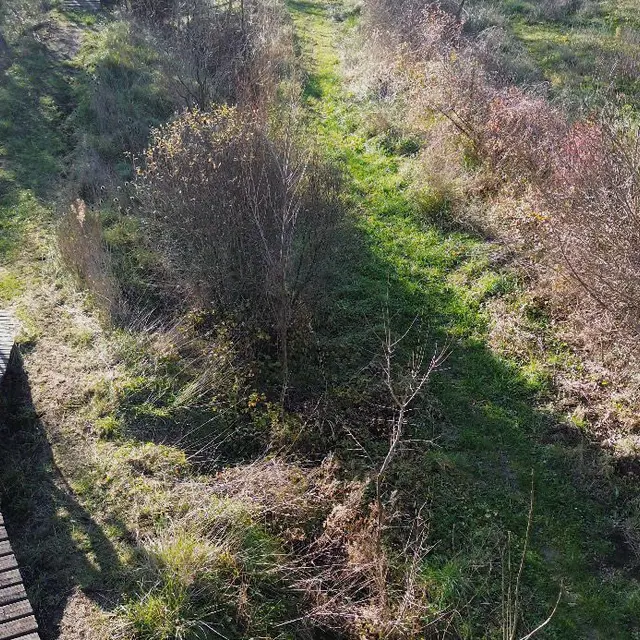 Bike Park Garéoult_Garéoult