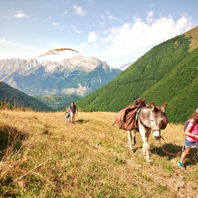 Bivouac avec les ânes, Altimood