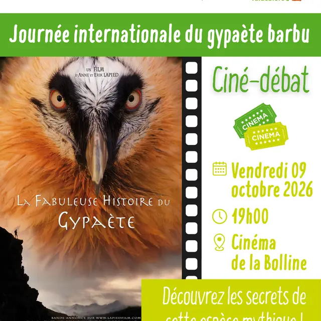 ciné-débat_gypa.png