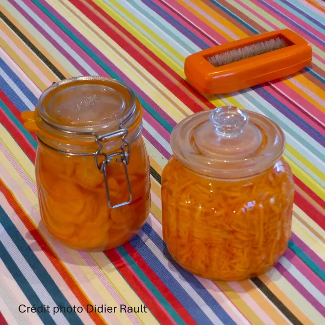 Atelier lactofermentation_Saint-Jeures