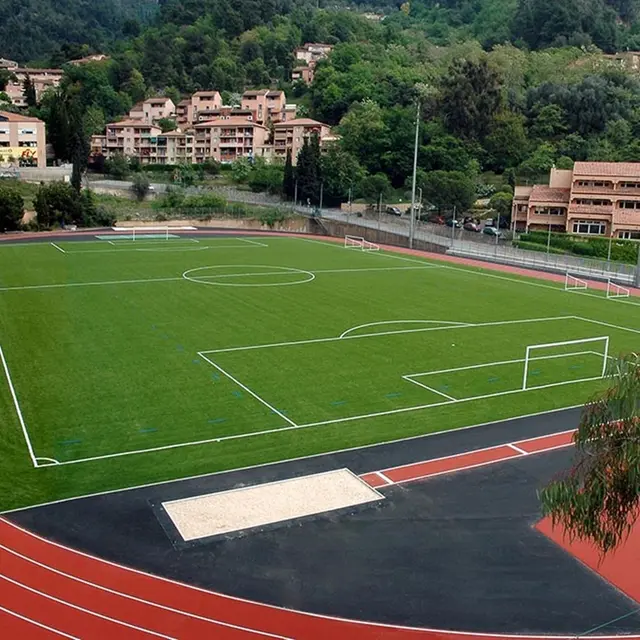 Stade de Saint Roman