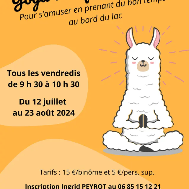 flyer yoga ludique