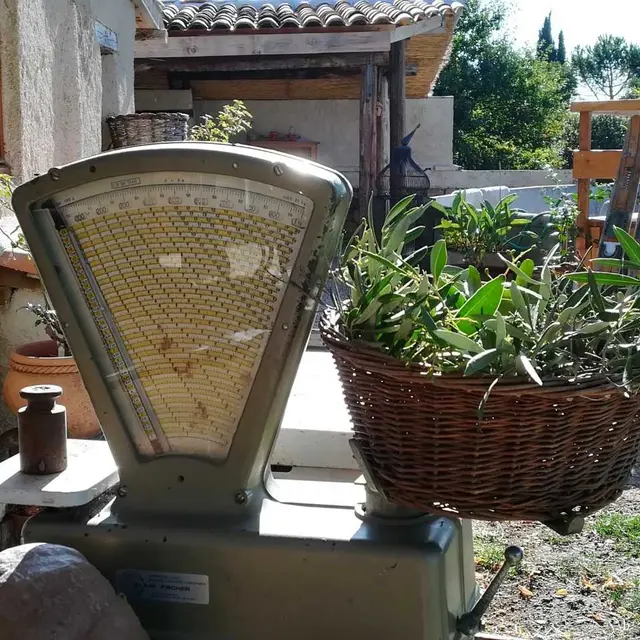 La Ferme Constantin 11