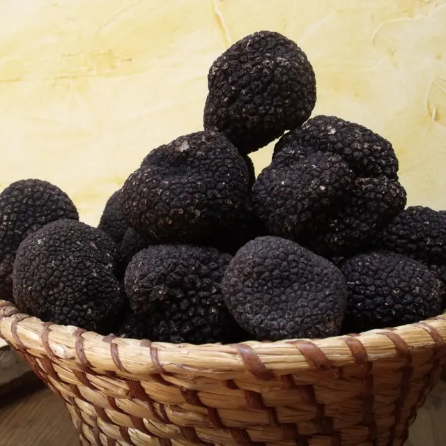 La Rabasse de l'Enclave