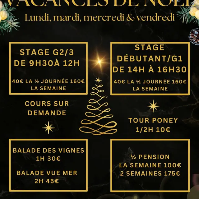 Stage d'équitation aus écuries de la Cibonne vacances de Noël_Le Pradet