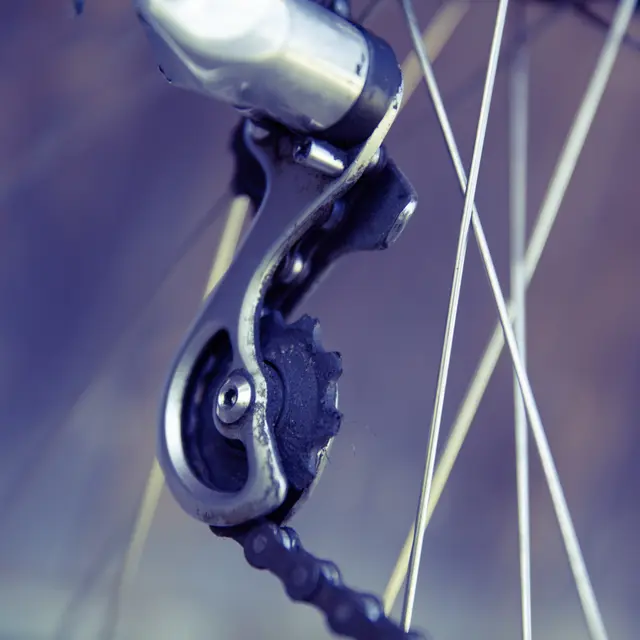 La Primavera de Cuers