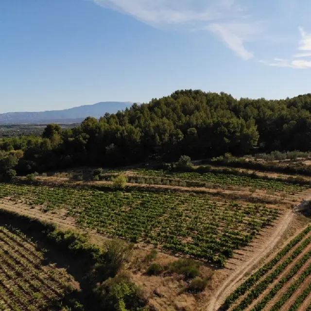 Domaine les Touchines à Saint Didier