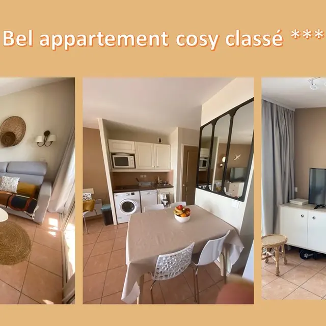 appartement - salon salle à manger
