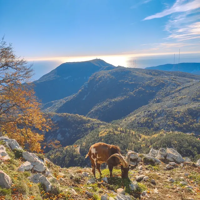 Natura 2000 :  Vallée du Careï - Collines de Castillon_Castillon