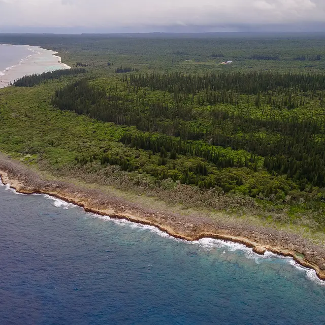 Les marmites du Cap des pins