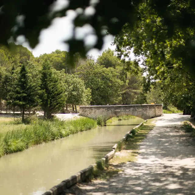 GR® 63-D'Avignon aux bords du Canal de Carpentras_Avignon