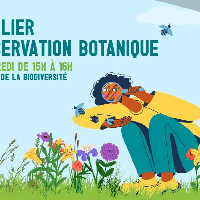 Atelier d'observation botanique spécial Gonatostylis vieillardi_Nouméa