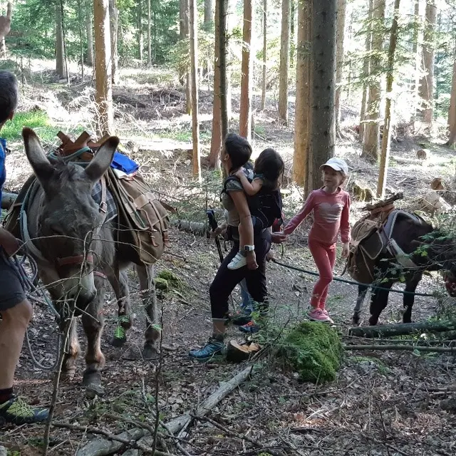Mulane Camp en famille