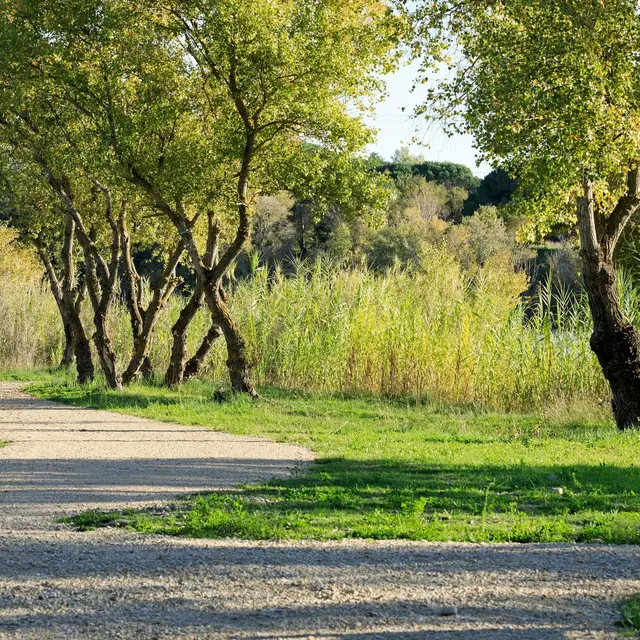 Voie Verte en bord de Durance_Pertuis
