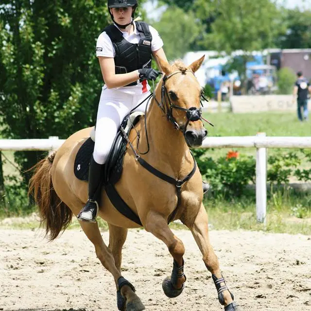 Centre hippique Belley Arbignieu