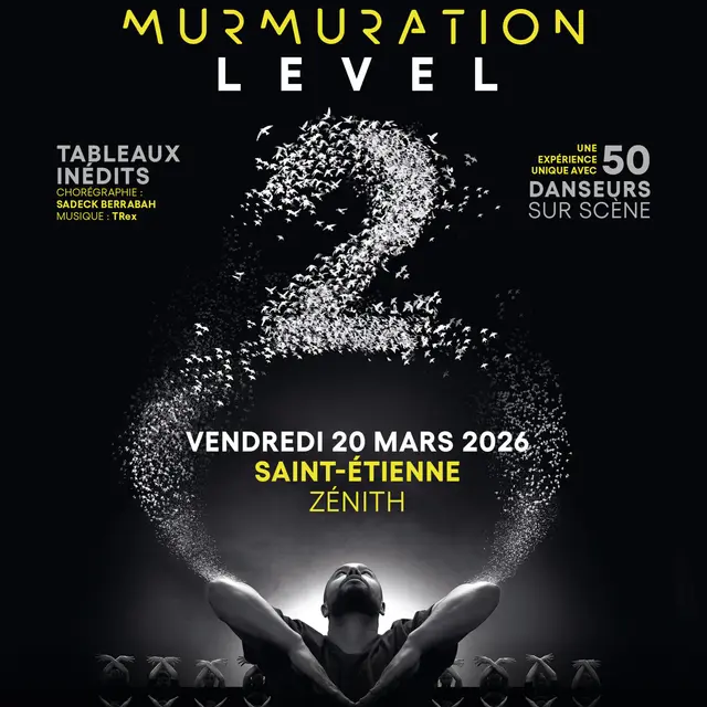 Murmuration level 2_Saint-Étienne